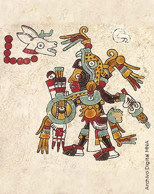8 venado mixteco